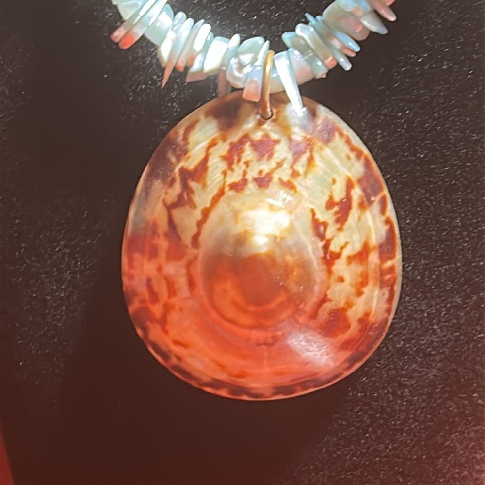 Shell necklace - Picture 2 of 5